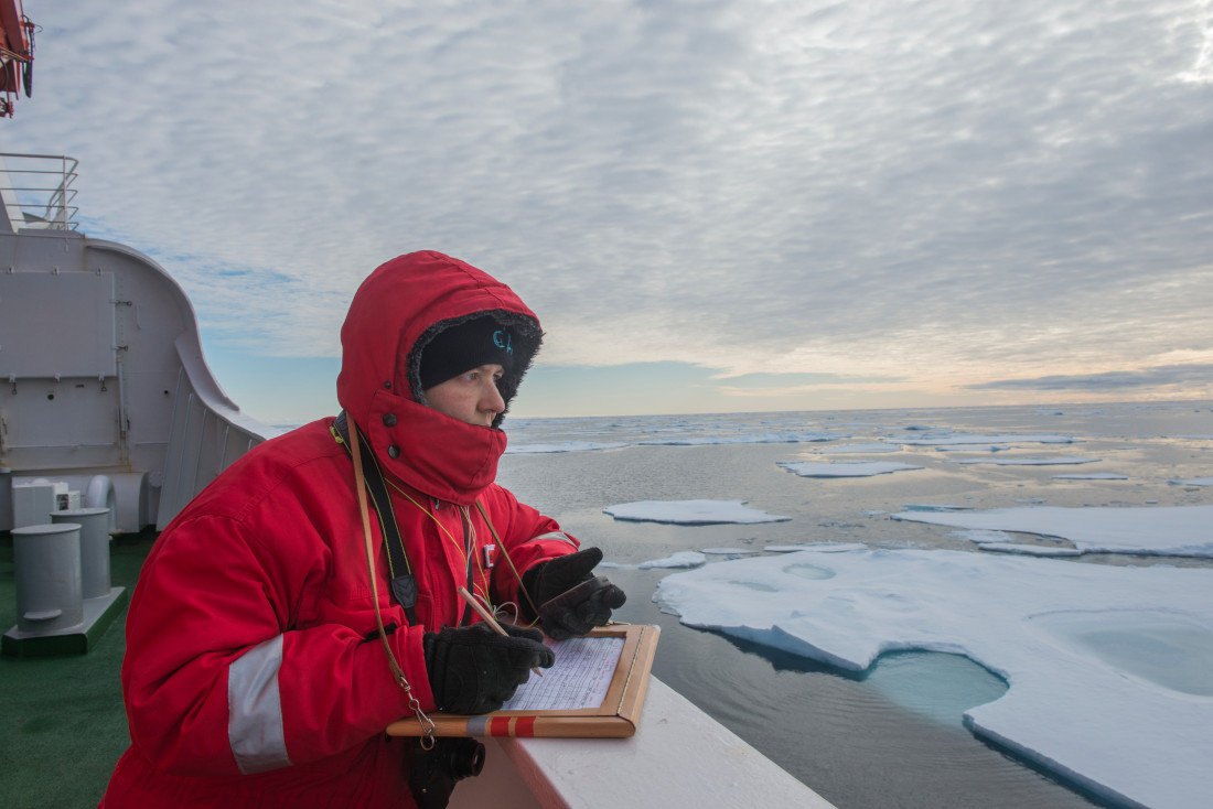 Auf der „Polarstern“ Richtung Spitzbergen: Wenn Eltern auf Forschungsreise gehen, muss die Familie sicher versorgt sein. Bild: AWI