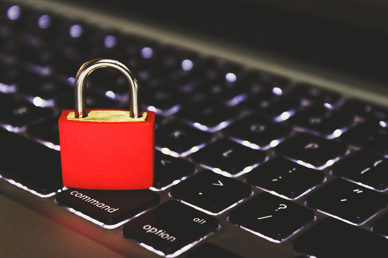 Datenschutz und IT-Sicherheit lassen sich mit den Bedürfnissen in der Krise vereinen, Bild: pixabay