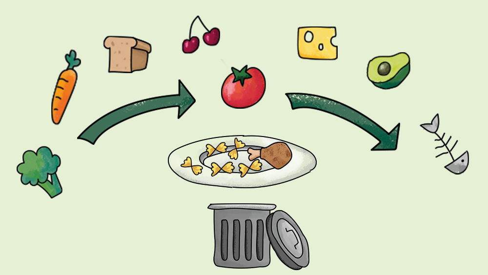 Grafisch werden unterschiedliche Lebensmittel in einem Verwerungskreislauf dargestellt. Auch ein Teller mit Lebensmitteln und eine Mülltonne ist zu sehen